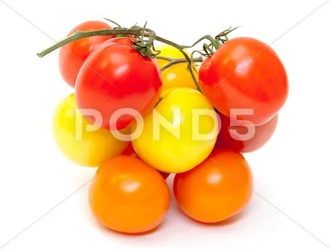 Multicolored ripe fresh tomatoes Stock Photos