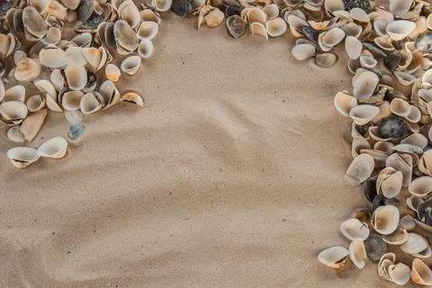 Multicolored river seashells lie chaotically on the sand next to the sea. Mac Stock Photos