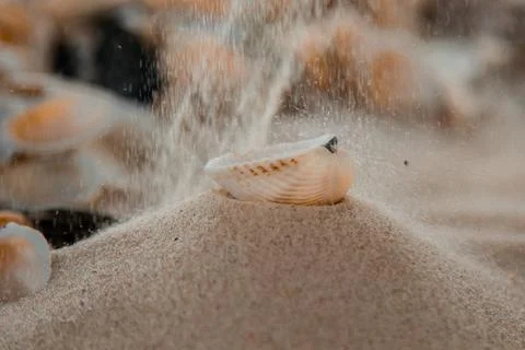 Multicolored river seashells lie chaotically on the sand next to the sea. Mac Stock Photos