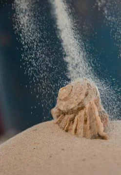 Multicolored river seashells lie chaotically on the sand next to the sea. Mac Stock Photos