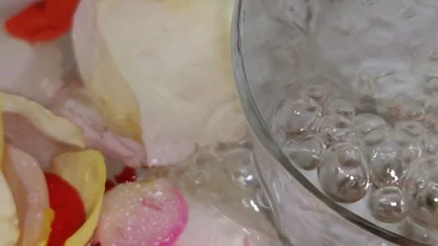 Multicolored rose petals float in the water Stock Footage 318850815