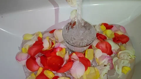 Multicolored roses float in the water Video stock 318850813