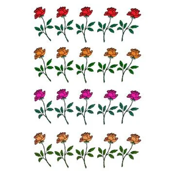 Multicolored roses lined in rows. Stock Illustration
