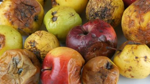 Multicolored rotten spoiled ripened apples rotating on white background. Stock Footage 104672568