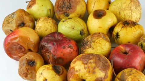 Multicolored rotten spoiled ripened apples on white background. Stock Footage 104672609
