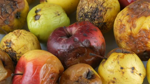 Multicolored rotten spoiled ripened apples on white background. Stock Footage 104672617