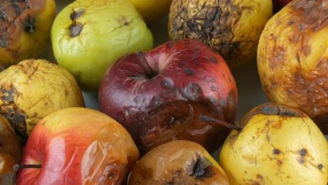 Multicolored rotten spoiled ripened apples on white background. Stock Footage 104672647