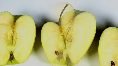 Multicolored rotten spoiled ripened apples Stock Footage 105624467