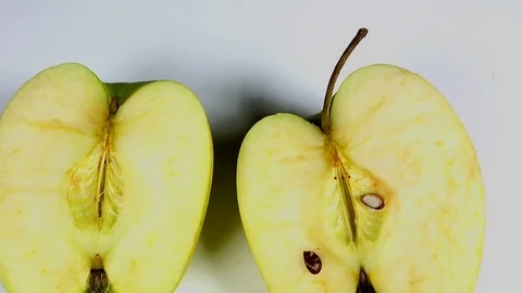Multicolored rotten spoiled ripened apples Stock Footage 105627382