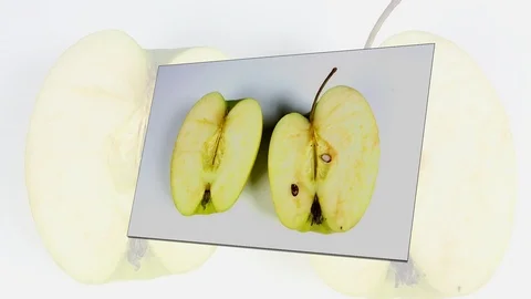 Multicolored rotten spoiled ripened apples Stock Footage 105648968