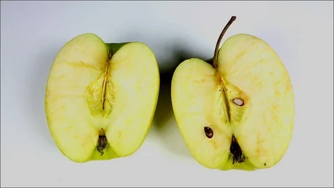 Multicolored rotten spoiled ripened apples Stock Footage 105654773