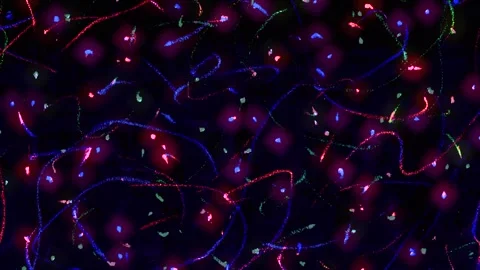 Multicolored scribbled pencil crayon lines stopmotion animation on black Video stock 323832089
