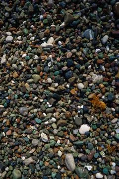 Multicolored sea pebbles 写真素材