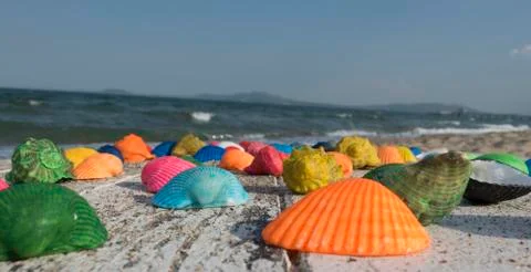 Multicolored seashells on the beach Stock Photos