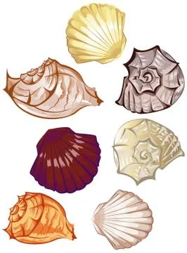Multicolored seashells Stock Illustration
