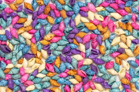 Multicolored seashells, top view. Background and texture. The concept of Stock Photos