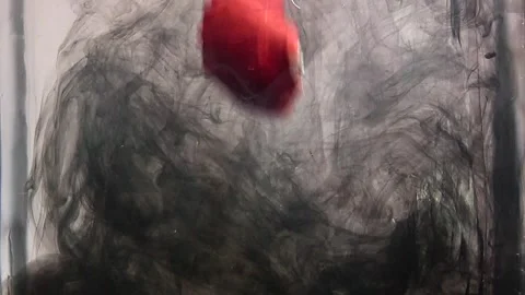 Multicolored shells fall into water with black paint Stock Footage 291113658