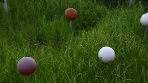 Multicolored spherical ball in the grass Stock Footage 137283782