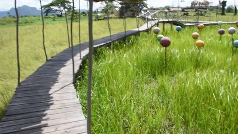 Multicolored spherical objects in the meadow Stock Footage 137185300