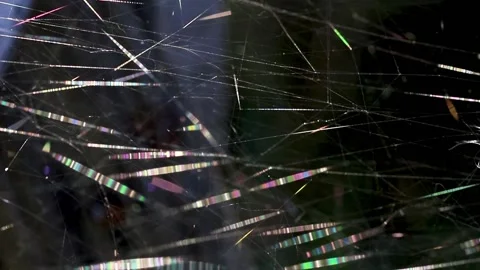 Multicolored spiderweb pegs from the wind in the sun. Selective focus. Stock Footage 169038628