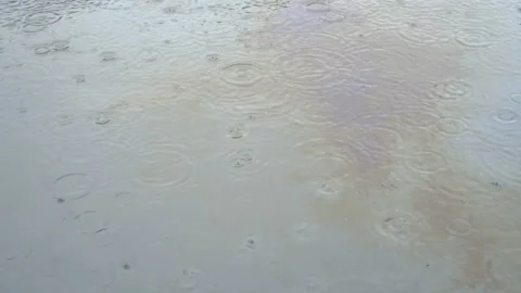 Multicolored spots from the oil spill float on the surface of the water during Video stock 166206378