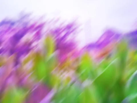 Multicolored spring or summer blurry background. Sun days spring or summer ab Stock Photos