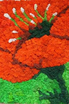 Multicolored stabilized moss on the wall as an interior decoration Stock Photos