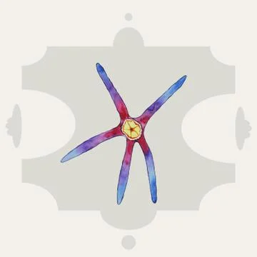 Multicolored starfish. Stock Illustration