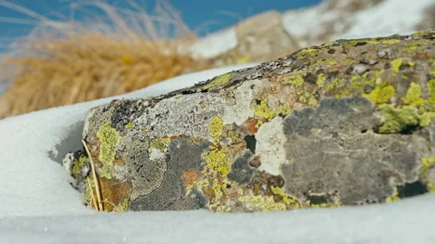 Multicolored stone with yellow grass and snow, under a blue sky Stock Footage 138037164