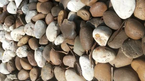 Multicolored stones Stock Photos