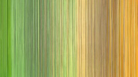 Multicolored straight yarn strands texture as background, template, page or w Stock Photos