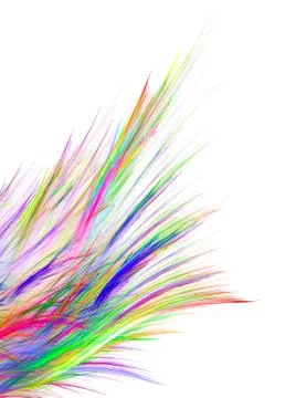 Multicolored tail Stock Illustration