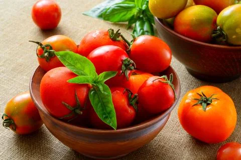 Multicolored tomatoes on fabric background Stock Photos
