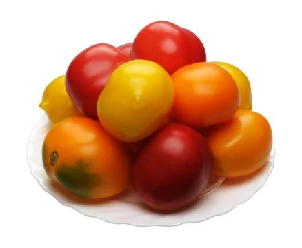 Multicolored tomatoes, isolated Stock Photos