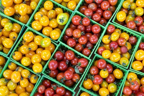 Multicolored tomatoes, pattern of yellow, red and orange cherry tomatoes Stock Photos
