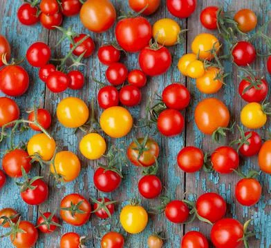 Multicolored tomatoes top view. Pattern of yellow, red and orange cherry Stock Photos