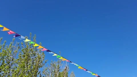 Multicolored triangular flags flutter against the blue sky and tree branches. Stock Footage 309100677