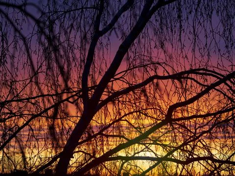 Multicolored twilight sky. Stock Photos