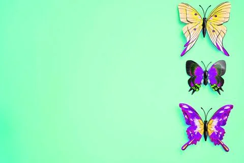 Multicolored variegated butterflies isolated on emerald green lime Foto stock