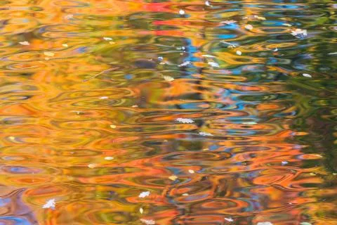 Multicolored water surface and reflection of autumn foliage Stock Photos