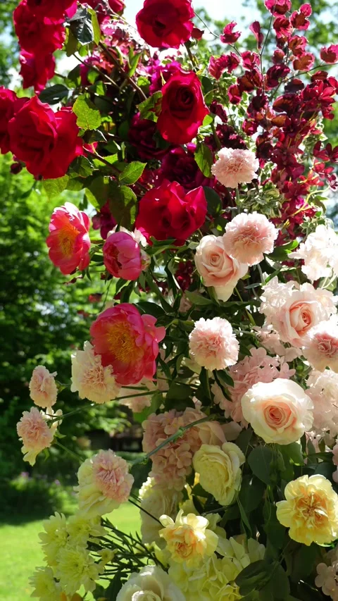 Multicolored wedding romantic flower arch. Summer atmosphere on the street. Red, Stock Footage 318558163
