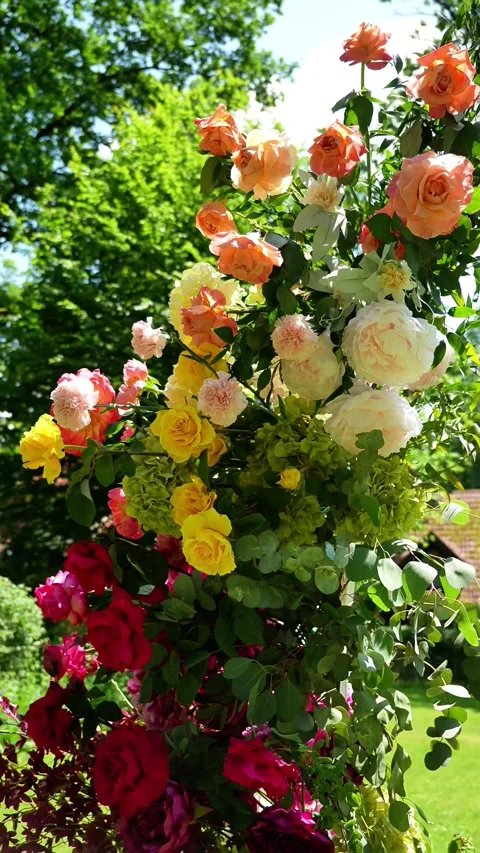 Multicolored wedding romantic flower arch. Summer atmosphere on the street. Red, Stock Footage 318558183