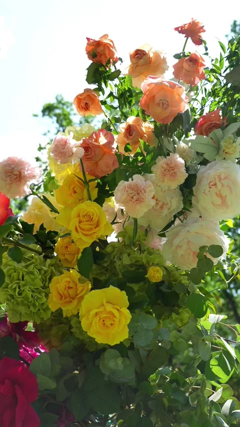 Multicolored wedding romantic flower arch. Summer atmosphere on the street. Red, Stock Footage 318558188