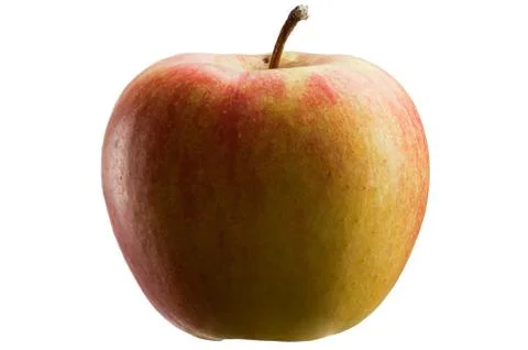 Multicoloured apple Stock Photos