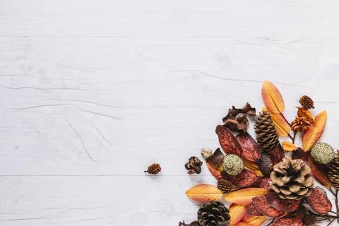 Multicoloured bunch leaves Stock Photos