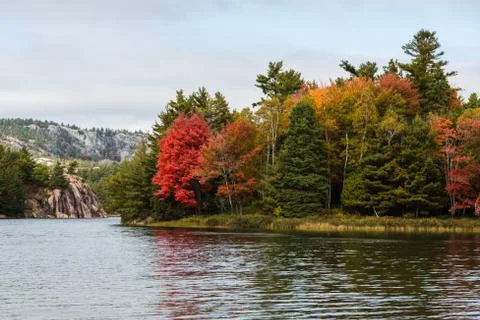 Multicoloured fall trees at a lake edge of Killarney Stock Photos