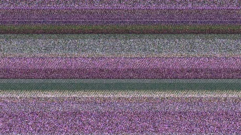 Multicoloured Horizontal Lines With TV Static 8 Stock Footage 84956684