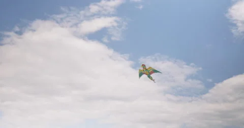 Multicoloured Kite is on the Sky. Nature in summer beach. Ocean or Sea seaside.  Video stock 155155505
