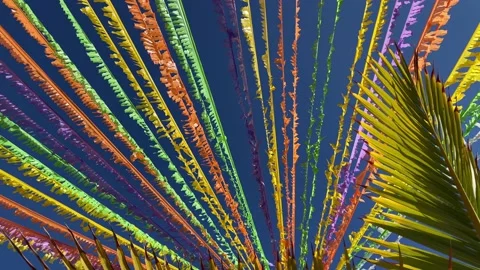 Multicoloured ribbons decorating street in front of blue sky and palm leaves. Stock Footage 196275945