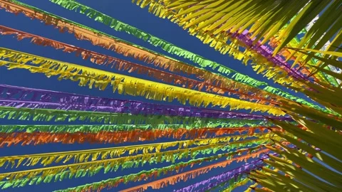 Multicoloured ribbons decorating street in front of blue sky and palm leaves. 4K Stock Footage 199395357